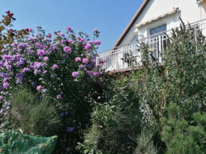Pension Haus Anneliese in Ückeritz
